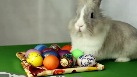 Conejito-de-pascua-con-huevos-de-Pascua