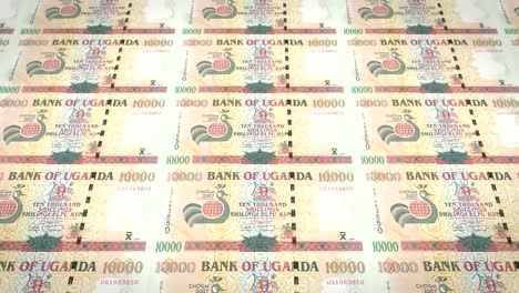 Banknotes-of-ten-thousand-Ugandan-shilling-of-Uganda,-cash-money,-loop