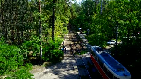 Straßenbahn-Haltestelle-in-den-grünen-Wald.-Kiew