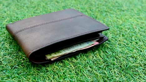 wallets-on-grass,-dolly-shot