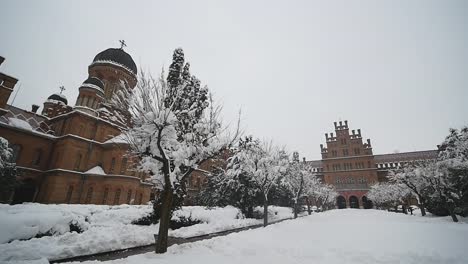 Universidad-de-Chernivtsi-(la-residencia-anterior-de-metropolitanos),-Ucrania.-invierno