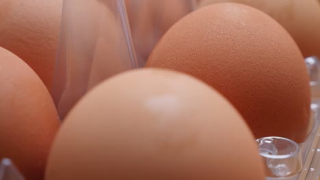 Plastic-egg-box-with-lot-of-organic-eggs-in-the-row-4K