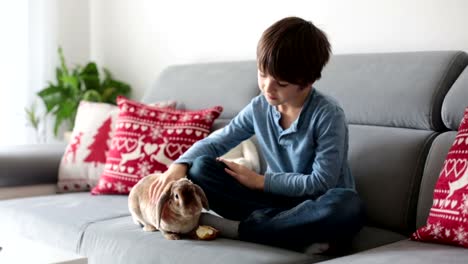 Cute-little-boy-feeding-rabbits-with-apple-at-home