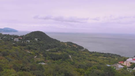 Tiro-aéreo-volando-sobre-bosque-de-coníferas-verde-en-Valle-de-montaña-en-el-día-de-verano