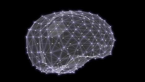 Human-brain-triangles-grid-rotation-3D-rendering