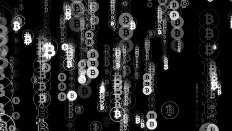 Code-Bitcoin-weiß