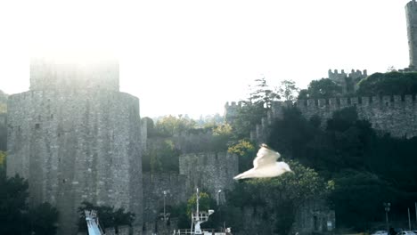 Slowmotion-Möwen-fliegen-in-der-Nähe-berühmtester-Istanbul-Festung-am-Bosporus