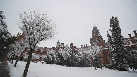 Universidad-de-Chernivtsi-(la-residencia-anterior-de-metropolitanos),-Ucrania.-invierno