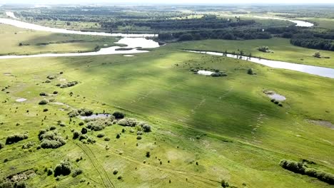 Malerische-Landschaft-von-Zentral-Russland