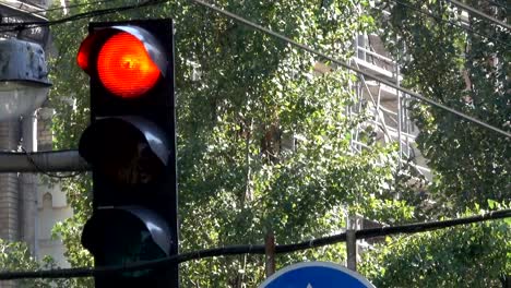 The-traffic-light-regulates-the-movement-of-cars