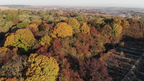 Bosque-de-hojas-caducas-alrededor-de-una-fortaleza-abandonada