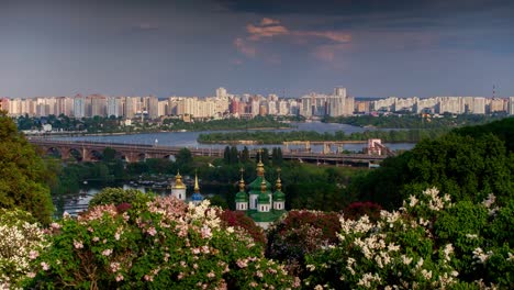 Lilas-en-flor-en-el-jardín-botánico.-Kiev.-Timelapse.