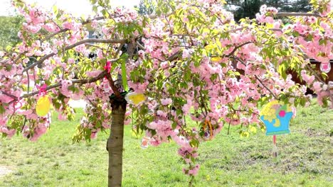 El-árbol-de-Pascua-en-el-jardín---Edificio-Público-Moderno-Kindergarten---Preescolar