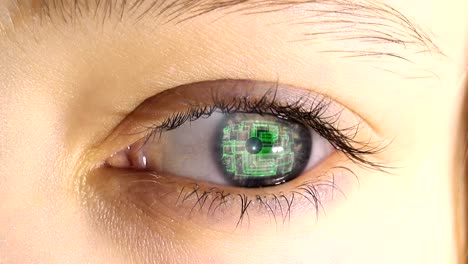 the-human-eye-with-the-electronic-circuits-and-symbols-projecting-in-it,-the-concept-of-future-technologies