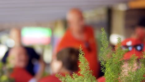 Fußball-Fans-im-Straßencafé,-Grünpflanze-im-Fokus-im-Vordergrund-unscharf