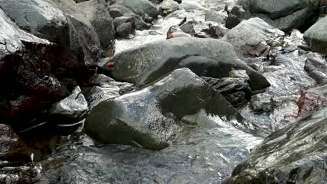 Cascade-of-waterfalls-Rosa-Khutor