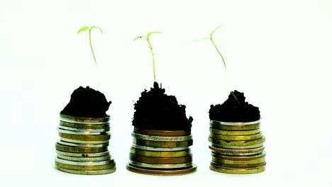 Golden-coins-in-soil-ground-with-young-plant.-Money-growth-increase-concept.