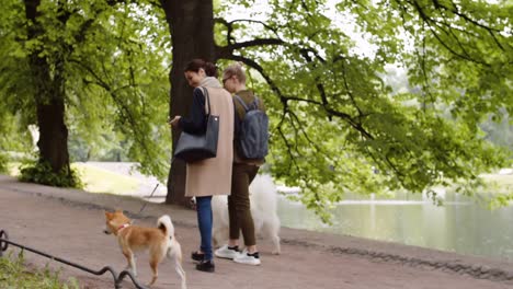 Weibliche-Hundebesitzer-zu-Fuß