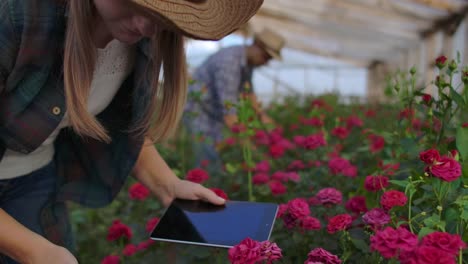 A-woman-with-a-tablet-examines-the-flowers-and-presses-her-fingers-on-the-tablet-screen.-Flower-farming-business-checking-flowers-in-greenhouse.