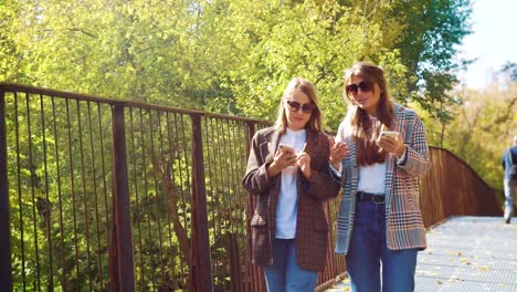 Travel-bloggers-with-smartphones-walking-on-bridge-in-sunny-park