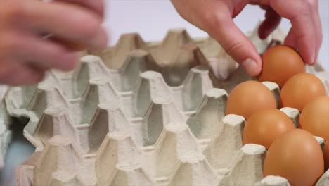 Eggs-are-stacked-in-a-tray