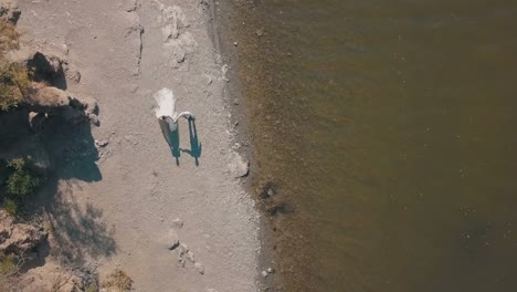 Joven-y-hermosa-pareja-junto-caminando-por-la-playa.-Hermoso-novio-y-novia.-Disparos-desde-el-aire.-Toma-aérea