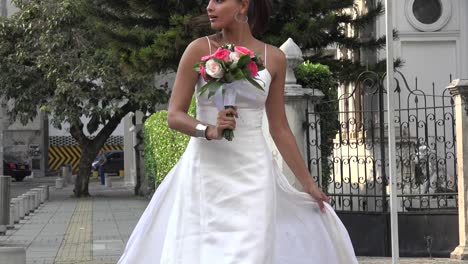 Bride-Crossing-Street