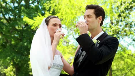 Glückliche-Brautpaar-Champagner-trinken-auf-dem-Lande