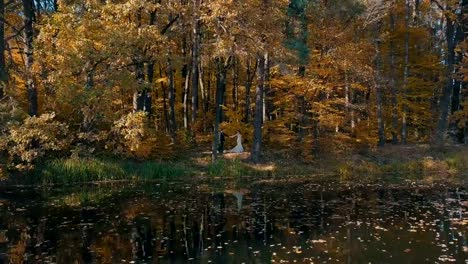 Una-joven-pareja-está-caminando-por-un-hermoso-bosque-cerca-del-lago.-Vista-aérea.-Otoño-dorado