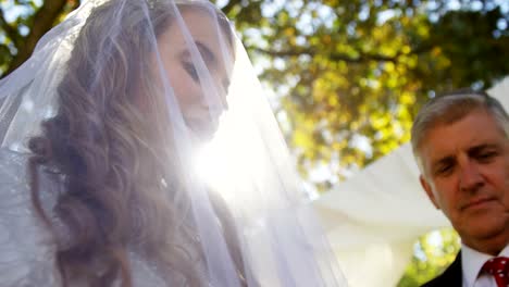 Bride-wearing-veil-and-priest-blessing-the-Bride-and-Groom-4K-4k