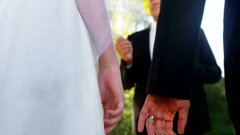 Groom-and-bride-holding-there-hands-4K-4k