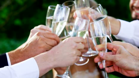 Guest-toasting-with-champagne-glasses-along-with-bride-and-groom-4K-4k