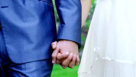 Braut-und-Bräutigam-Hand-in-Hand-auf-Hochzeit-4K-4k