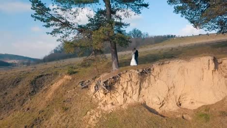 Ein-Junge-und-schöne-Hochzeitspaar-zusammen-an-einem-Hang-des-Berges-stehen.-Tag-der-Hochzeit.-Luftaufnahme