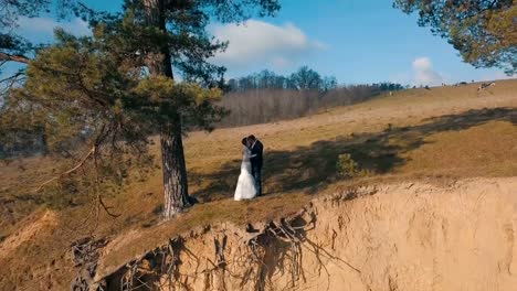 Ein-Junge-und-schöne-Hochzeitspaar-zusammen-an-einem-Hang-des-Berges-stehen.-Tag-der-Hochzeit.-Luftaufnahme