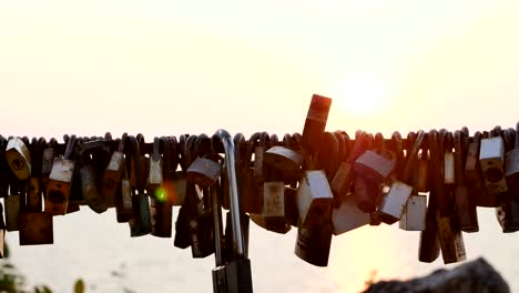 Wedding-locks-hang-on-the-bridge-railings