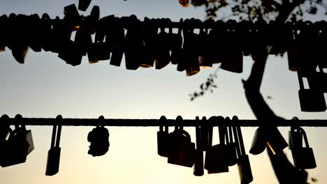 Wedding-locks-hang-on-the-bridge-railings