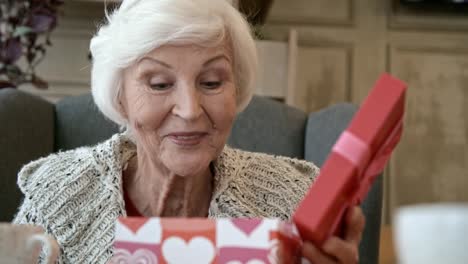 Elderly-Woman-Admiring-Gift