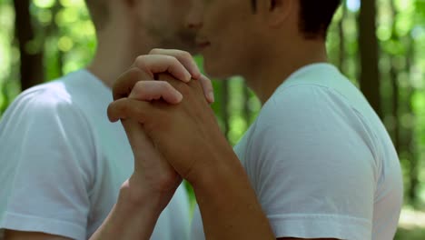 Young-gays-kissing-outdoors,-love-and-passion,-homosexual-relationship,-romance