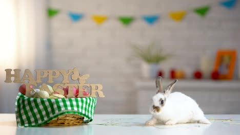 Niedlichen-Häschen-bewegt-auf-Tisch-um-Urlaub-Korb-mit-happy-Easter-Zeichen-Symbol