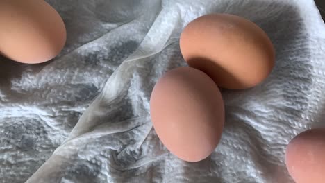 Boiled-eggs-in-the-pan