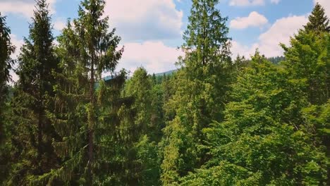 Antena-flythrough-de-hermosas-montañas-y-el-bosque.-Vista-de-los-pinos-y-el-cielo