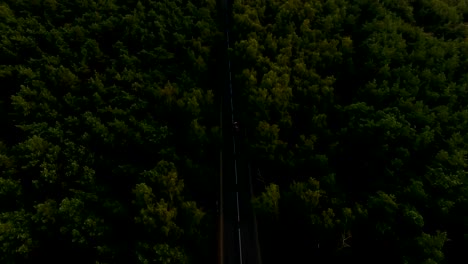 Highway-in-the-forest,-aerial-view