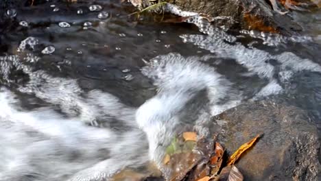 Arroyo-de-montaña-bosque-con-frío,-burbujas-de-agua.-Otoño