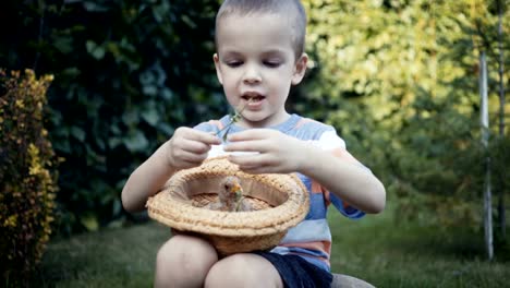 Filmmaterial-Bauernjunge-hält-eine-kleine-Küken-in-den-Händen-im-Freien.