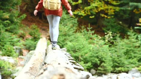 Slender-girl-walking-along-a-log-through-a-mountain-river-in-the-forest