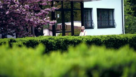 Stilvoller-junger-Kerl-in-einem-weißen-Hemd,-Suspender-und-einer-roten-Bowtie-steht-in-der-Nähe-der-blühenden-Sakura,-winkt-seine-Hand.-Frühling-sonniger-Tag.-hochzeit