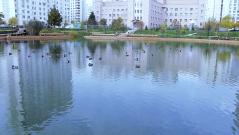 Teich-im-Stadtpark