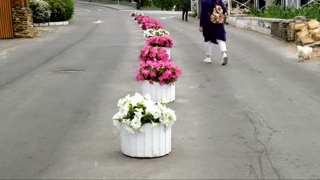 Woman-walks-along-the-alley-among-flowers-on-the-sidewalk.