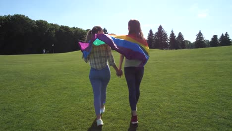 Pareja-lesbiana-con-bandera-arco-iris-caminando-sobre-hierba